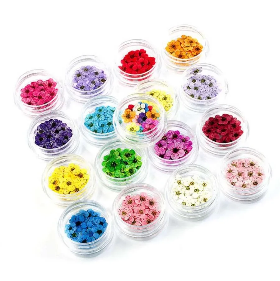 100 Buah Mini Ditekan Kering Narcissus Joningrad Bunga Tanaman Hararium untuk Epoksi Resin Perhiasan Bookmark Kartu Pos Nailart DIY