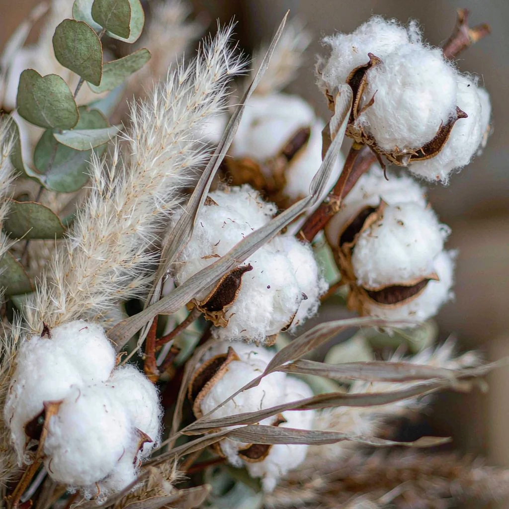 Pampas Grass Decor - Dried Cotton Stems Eucalyptus Pampas Grass