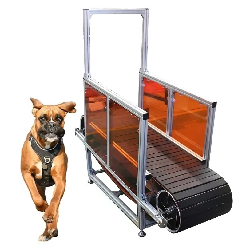 

Pet Treadmill Home Indoor Pet Training Equipment for Large Dog Walking Exercise Running Machine for Pet Supplies