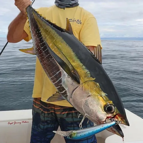 Imagen 2 del producto Señuelo de buceo profundo Wahoo Mahi Marlin Trolling Wobbler 18cm/41g 24cm 100g Hydro Magnum Minnow cebo barco de agua salada aparejos de pesca