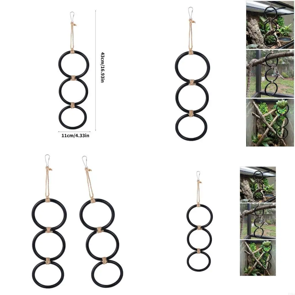   Engagement Activity Climbing Rings Toy for Reptiles Encourages Movement Explore