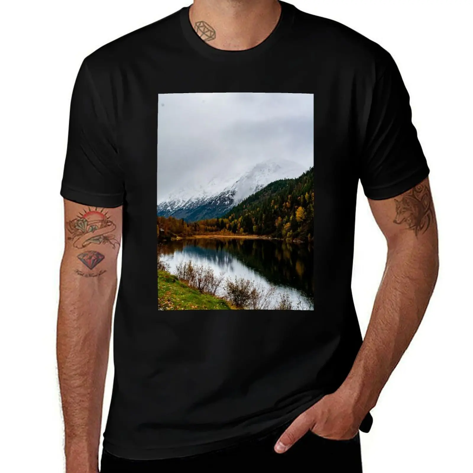 

Mountains off Kenai Lake near Seward, Alaska T-Shirt customs boys whites funny costumes Men's t-shirt