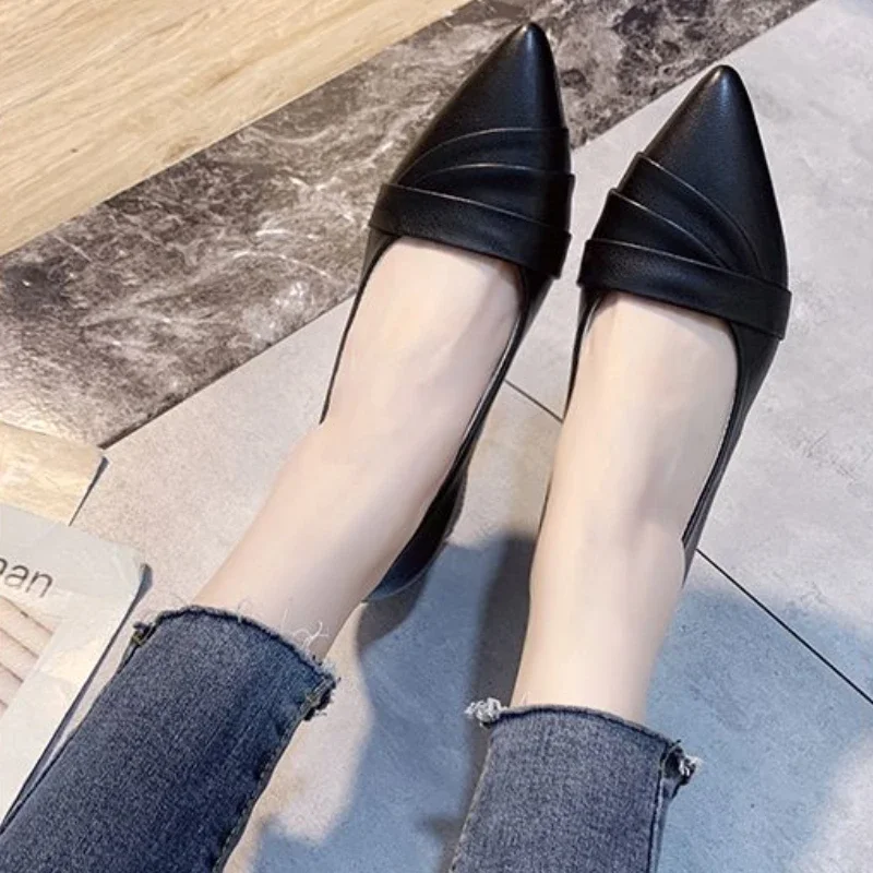 

Женские туфли-лодочки для женщин. Женские туфли-лодочки на массивном каблуке с острым носком и средним удобным и элегантным дизайном. Модный стильный стиль.