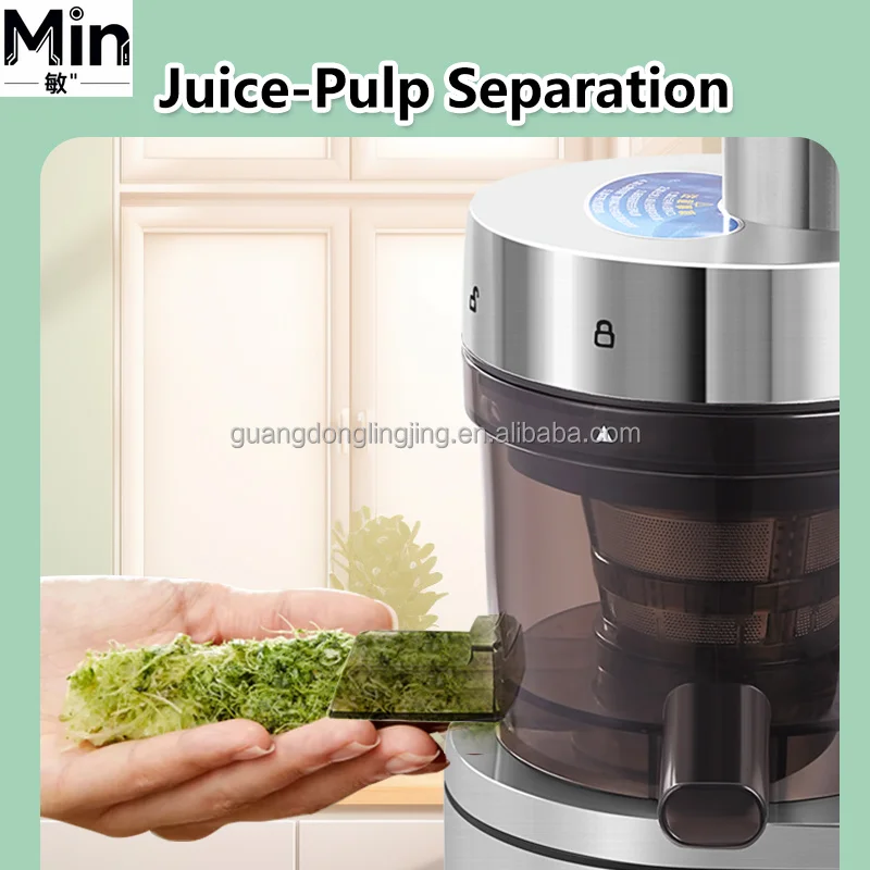 Favorable Price 1000W Commercial Slow Juicer Heavy Automatic Feed Chute Slow Masticating Cold Press Stainless Steel