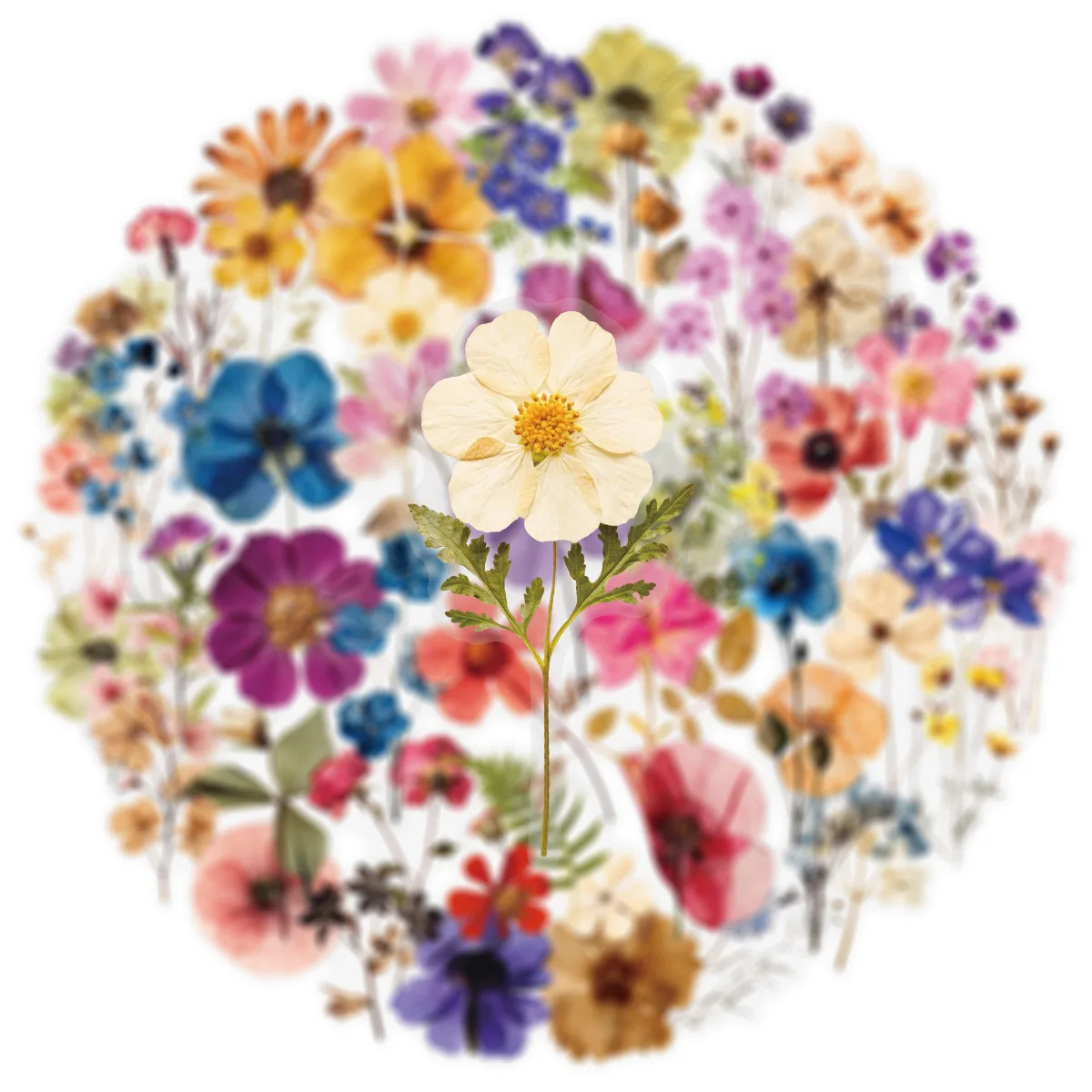 50 Stück Vintage Blumen Cartoon Graffiti Aufkleber DIY Laptop Handy Tagebuch Kühlschrank Gitarre Scrapbooking Dekoration Sticker