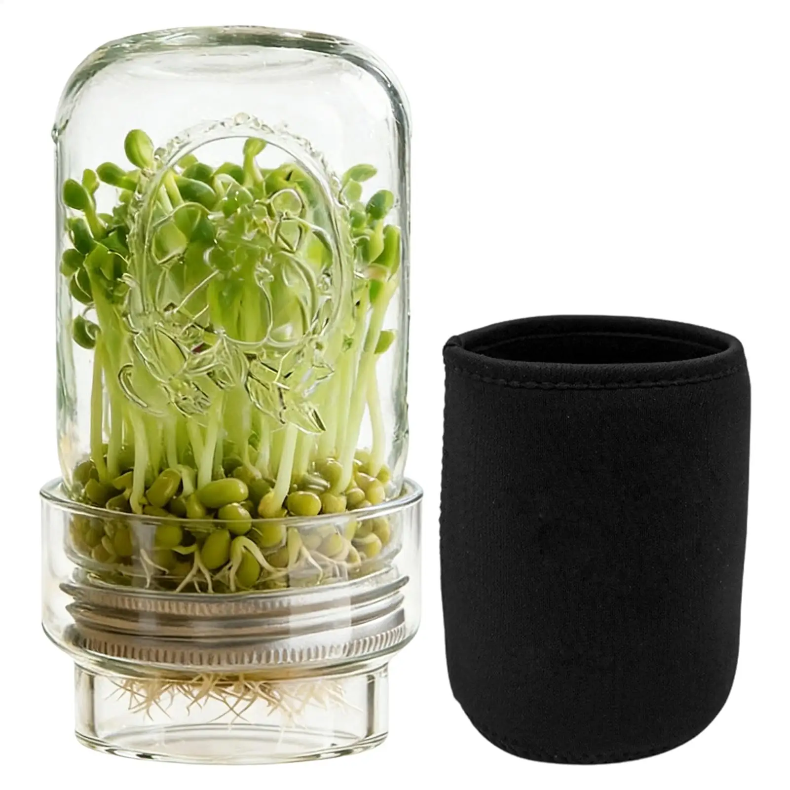 Sprouting Jar Kit Glass Mung Bean Sprouts Growing Bean Sprouts Grow Kit For Gardeners Beginners Homesteaders Kitchen Countertop