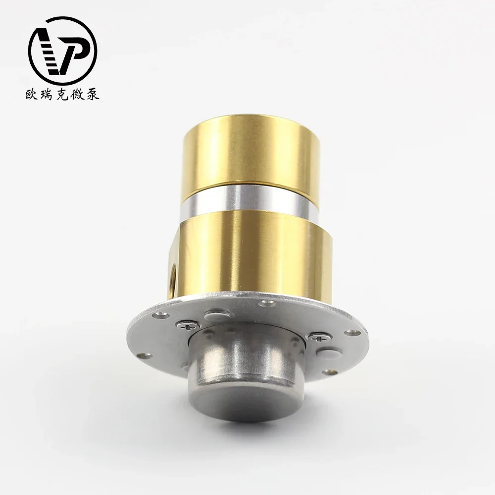 저렴한 자기 구동 수순환 펌프 연료 헤드 전기 오일 이송 고효율 기어 펌프 PLC 커플링용 화학 펌프