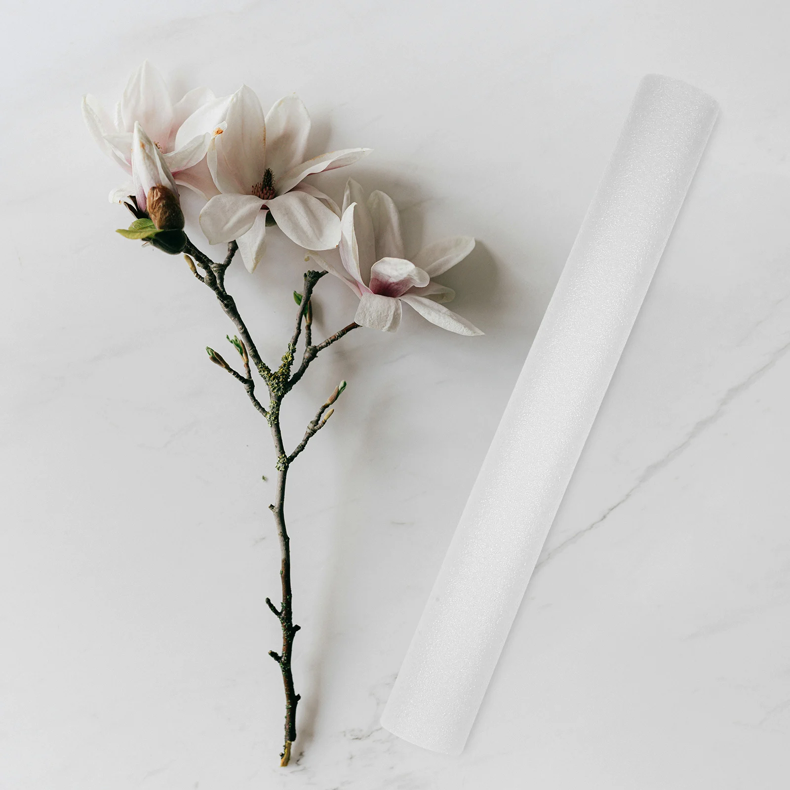 

5 Pcs Foam Rods Rods for Arrangement Lightweight Floral Supplies Bouquet White Foam Cylinders For Crafts Accessories Craft