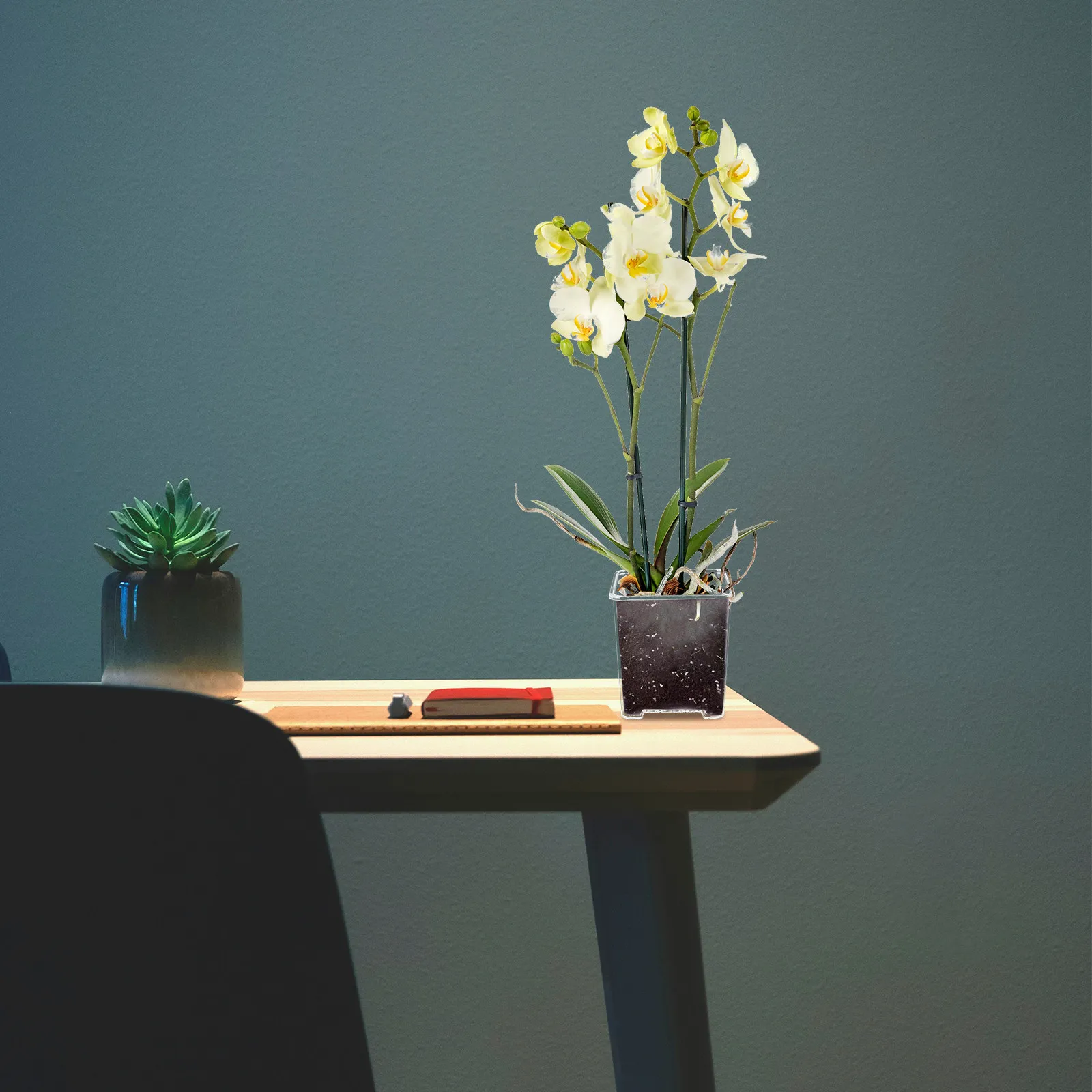 

5 шт. Прозрачные квадратные горшки для орхидей, акриловые маленькие кашпо с дренажными отверстиями для суккулентов и цветов