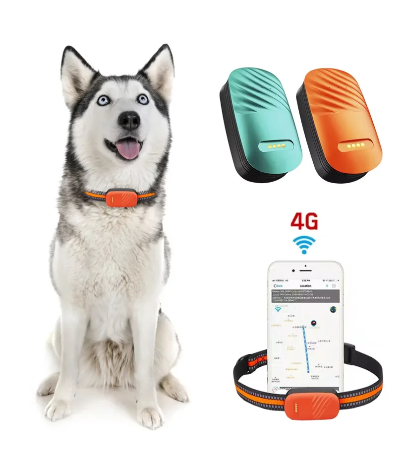 

Умный 4G мини-Gps-трекер для собак, водонепроницаемый пульт дистанционного управления для домашних животных, трекер в реальном времени с защитой от потери для кошек, аксессуары для домашних животных