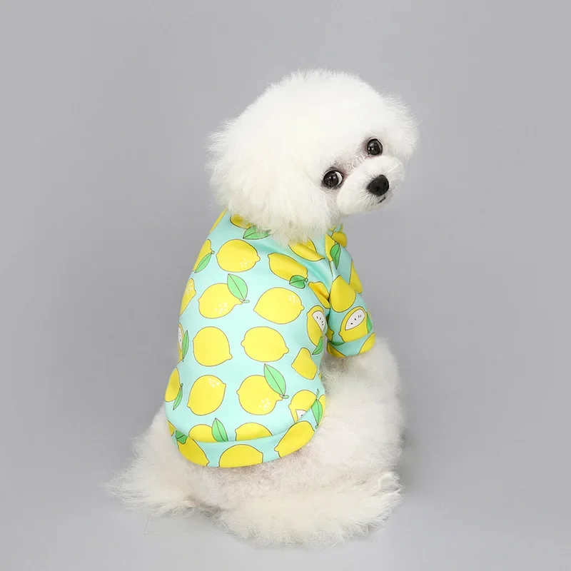Warm Puppy Hoodie Coat 4