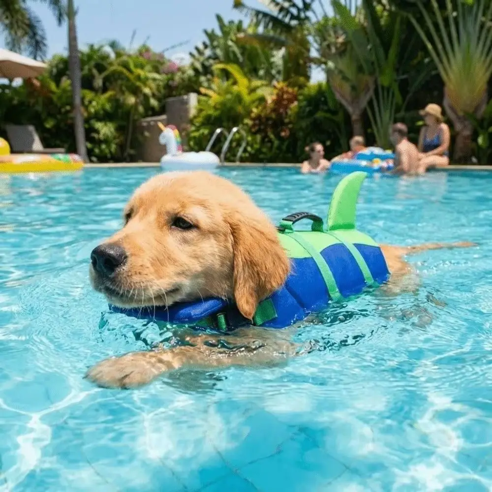 Hai-förmige Hunde-Schwimmweste, wasserdicht, atmungsaktiv, verstellbar, für Welpen, Sicherheitsweste für Strand und Schwimmen – Detail 4