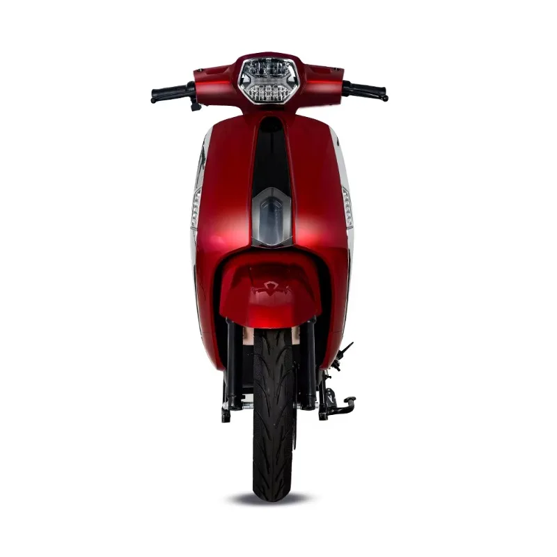 RRPersonal Urban Travel Electric Scooter Adults 1000W 10Inch Moto Electrica For Daily Riding Performance