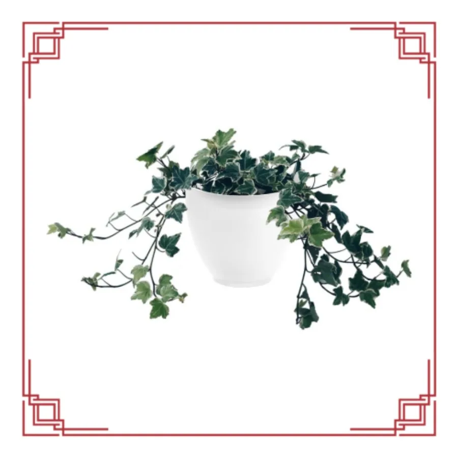 20,3 cm weißer Wandpflanzgefäß zum Aufhängen, Kunststoff-Gartentopf für den Innen- und Außenbereich für Blumenkräuter, einfache Montage