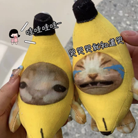 Clearance Sale: Internet Celebrity Banana Cat Plush Toy Banana Cat Pinch Music Voice Happy Cat Graduation Gift for Classmates