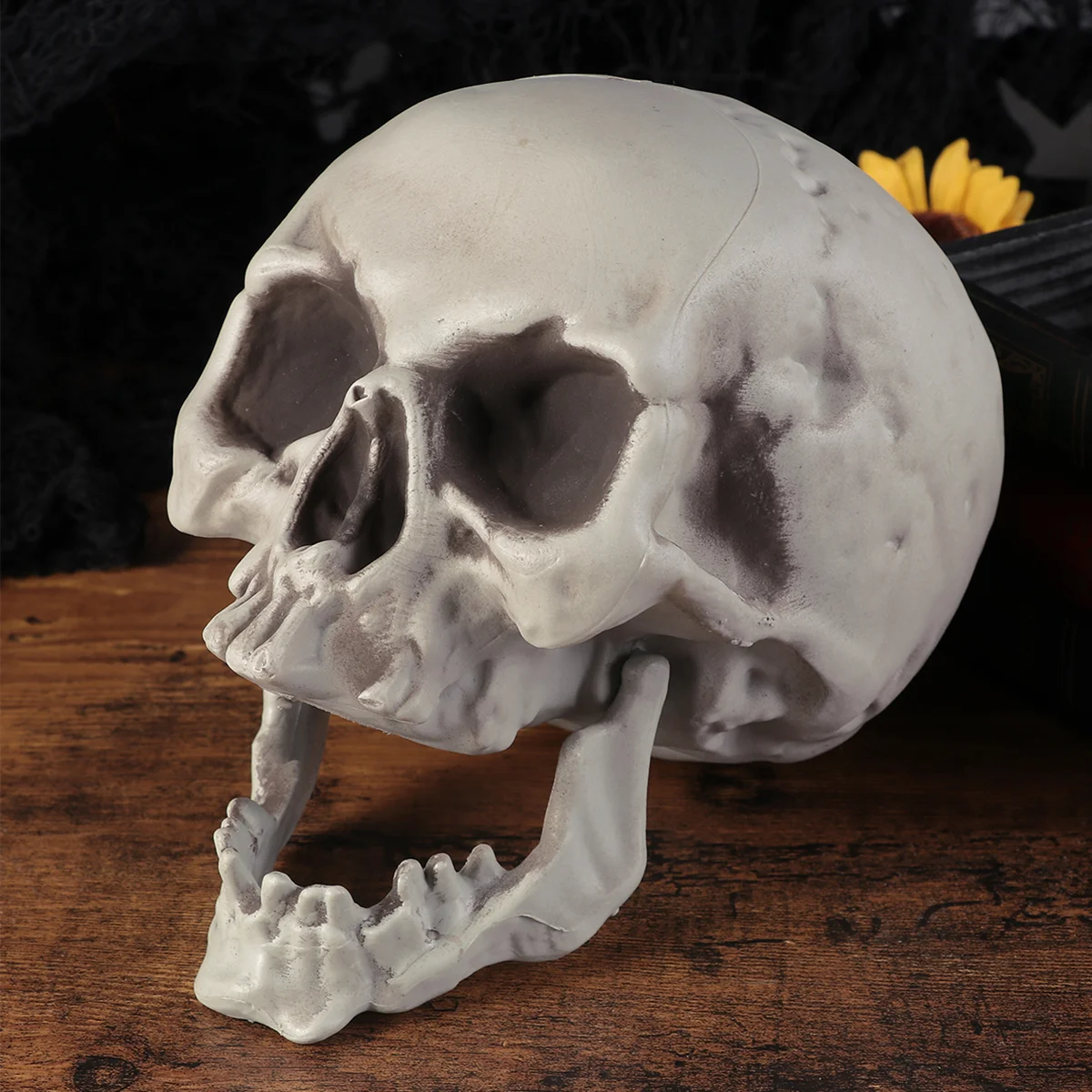 

Halloween Artificial Skull Scared Skull Ornament Ghost House Props Party Supplies (1) Plastic Skull Halloween Skull