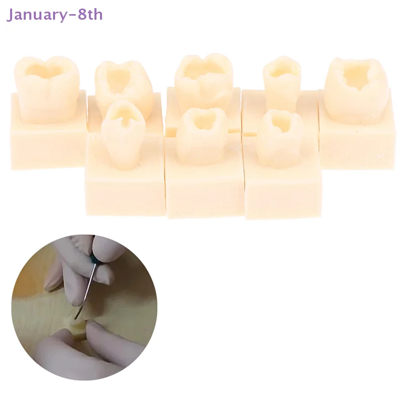 8pcs/Kit Dental Posterior Student Training Test Model Practice Composite Resin Filling Teeth Jaw Dentistry Equipment