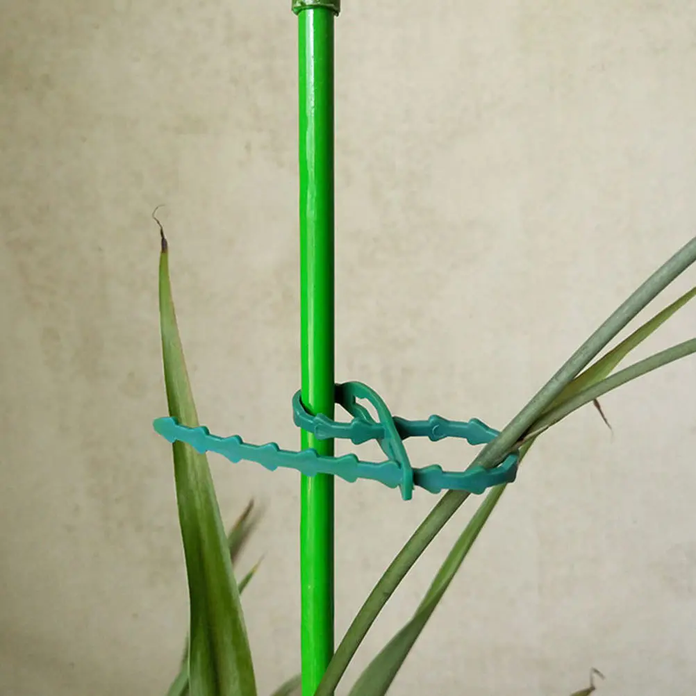 

120Pcs Pe Vine Plants Fixing Tie Sturdy Weatherproof Tree Plant Support Belt Smooth Edge No Breakage Eco Friendly Garden