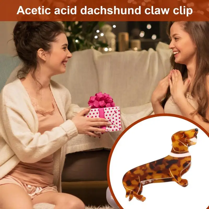 Dog Claw Hair Clip com presilhas animais, titulares de rabo de cavalo, Hair Grab Acessórios para Pet Girl