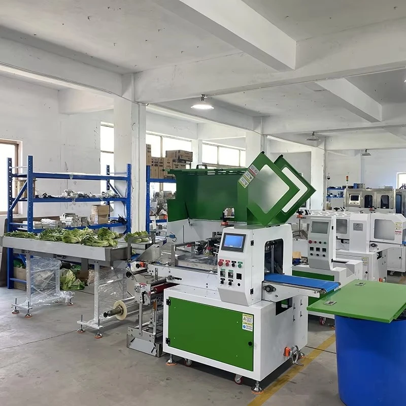 Customized Automatic Three Side Seal Solid Plastic Film Machine Bags Belt High Productivity Vegetable Pillow Packaging Machine