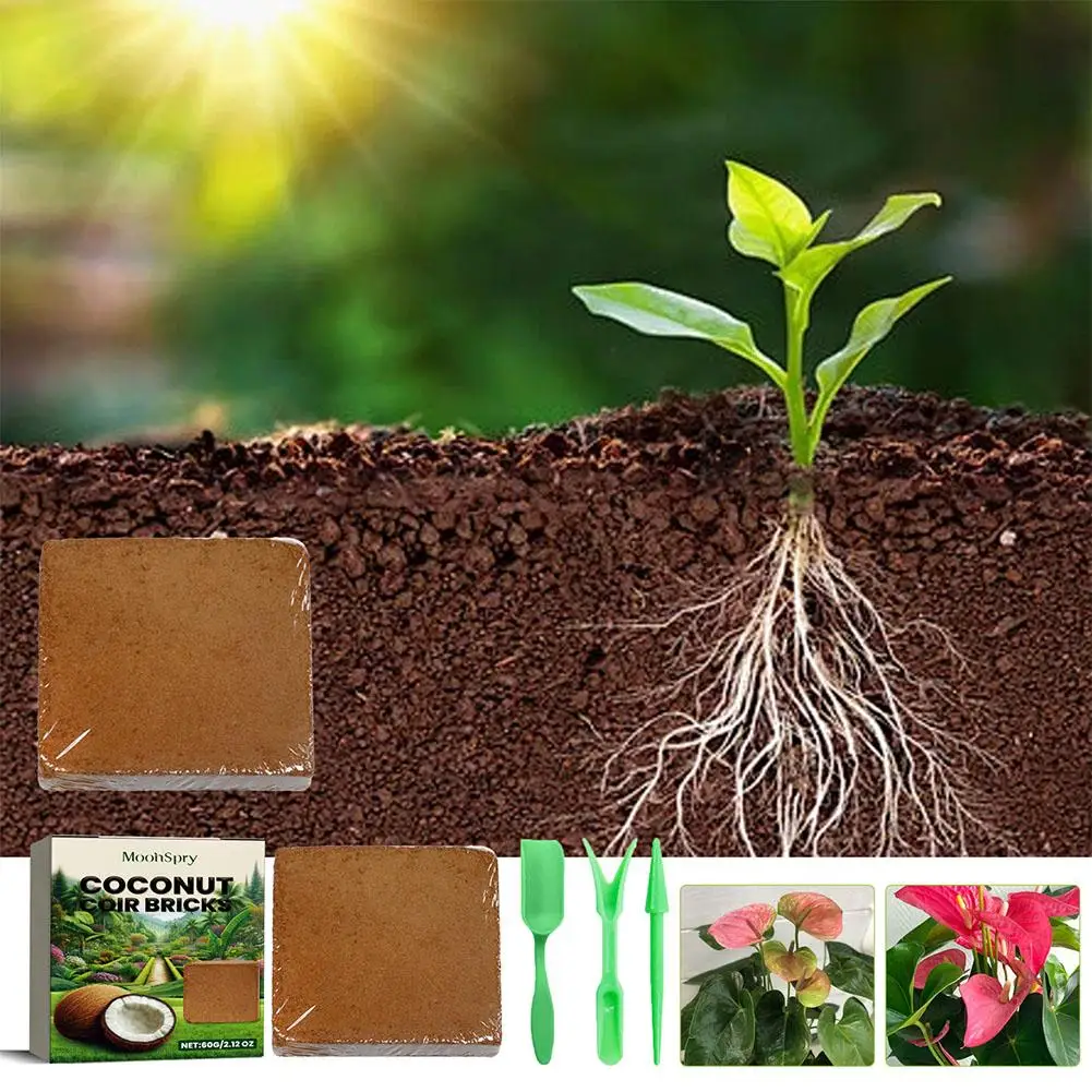 HOT SALE 100% Organic 650g Compressed Coconut Fiber COIR PEAT BRICK Soil For Plants Best Harvesting
