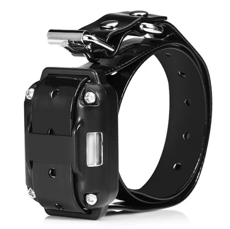 Thumbnail 2 - #8 Highest Rated Dog Training Collars to Buy in 2026