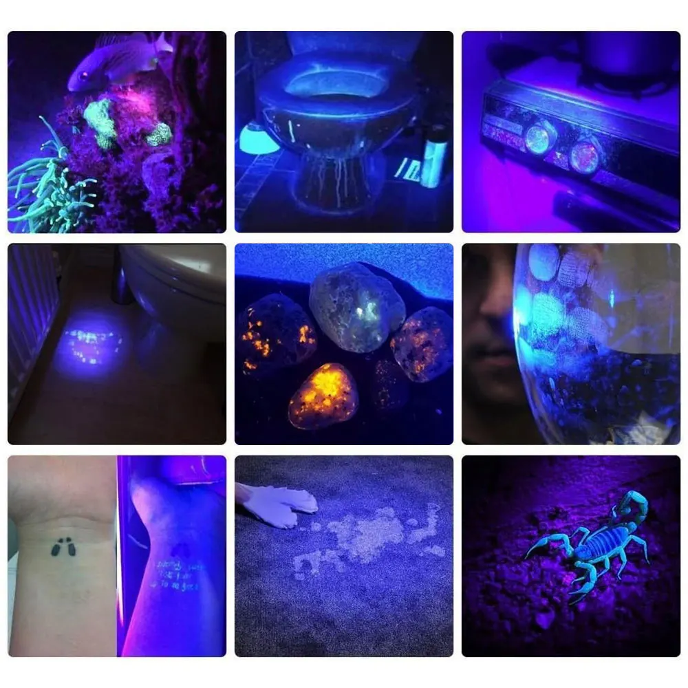 

D2 UV flashlight Purple light cat moss detection 365nm ultraviolet flashlight fluorescent agent purple light banknote detection