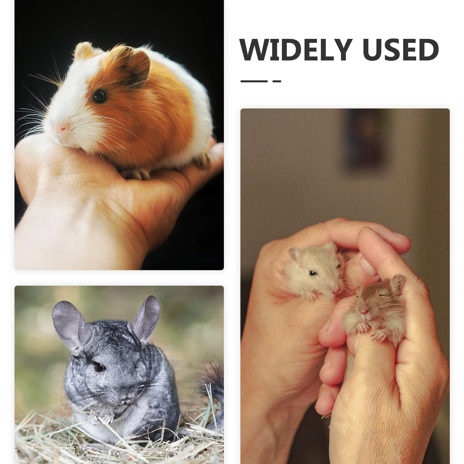 مخبأ فيلا بطبقة مزدوجة للهامستر خنزير غينيا القنفذ الفئران السنجاب قفص بولي كلوريد الفينيل المتين ، الحيوانات الأليفة الصغيرة الدافئة