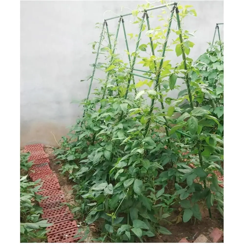 

Металлические садовые колья в упаковке 20-50 шт., вьющаяся решетка длиной 6,9 фута для огурцов, фасолей и вьющихся растений