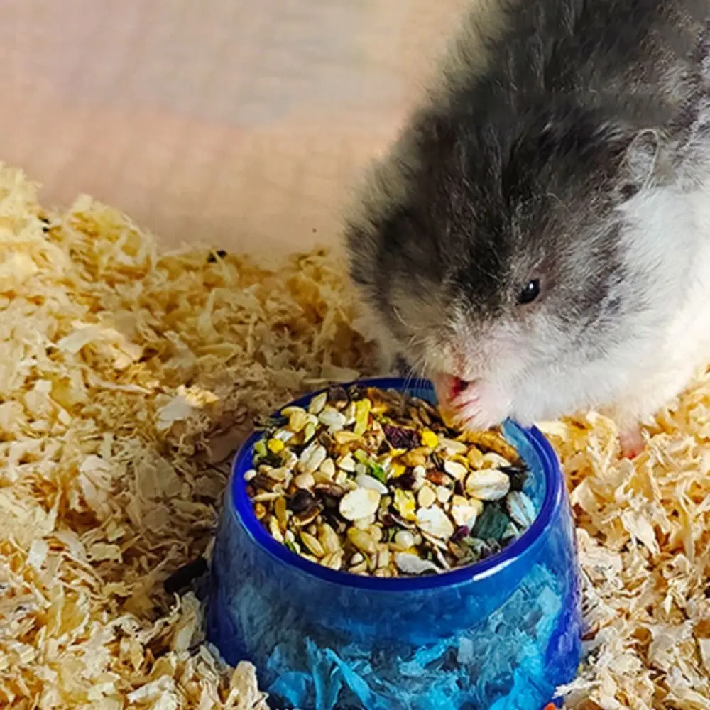 Bak makanan Hamster tahan gigitan tidak licin transparan mangkuk air Hamster plastik mangkuk makanan hewan peliharaan untuk tikus Hamster Guinea Pig