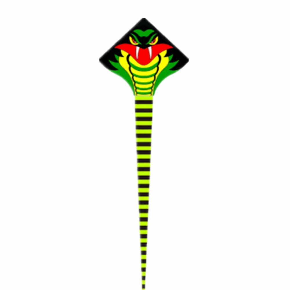 Gemakkelijk te vliegen 10M Snake Kite Snake Power Goed Flying 10M Cobra Kite Long Tail 100 Meter Kite String Kindervlieger
