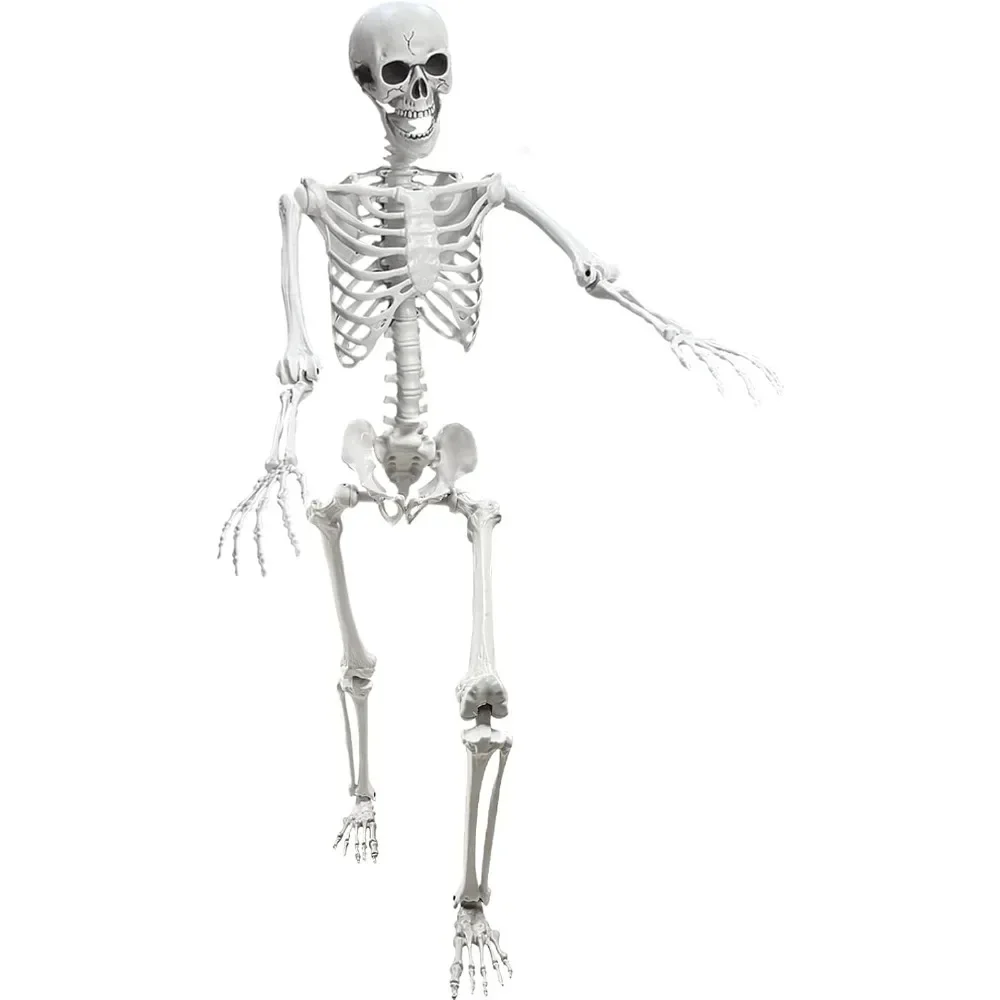 5.4Ft Posable Life Size Human Adult Skeletons Plastic Human Bones with Movable Joints for Halloween Decoration