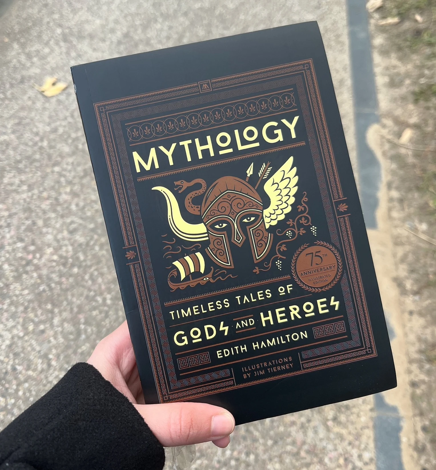 

mythology: Timeless Tales Of Gods And Heroes A Novel Paperback English book