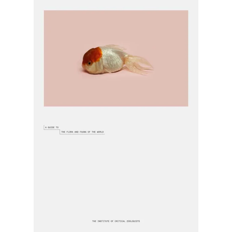 

Robert Zhao Renhui A Guide To The Flora And Fauna Of The World Robert Zhao Renhui 9783958293199