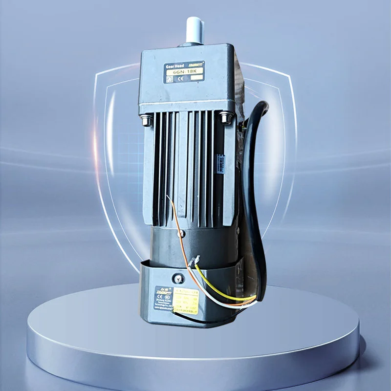 Ascenseur Électrique Compact Automatique pour la Restauration, pour Cuisines de Restaurants, à Double Rail, Silencieux, Personnalisable pour 2 Niveaux