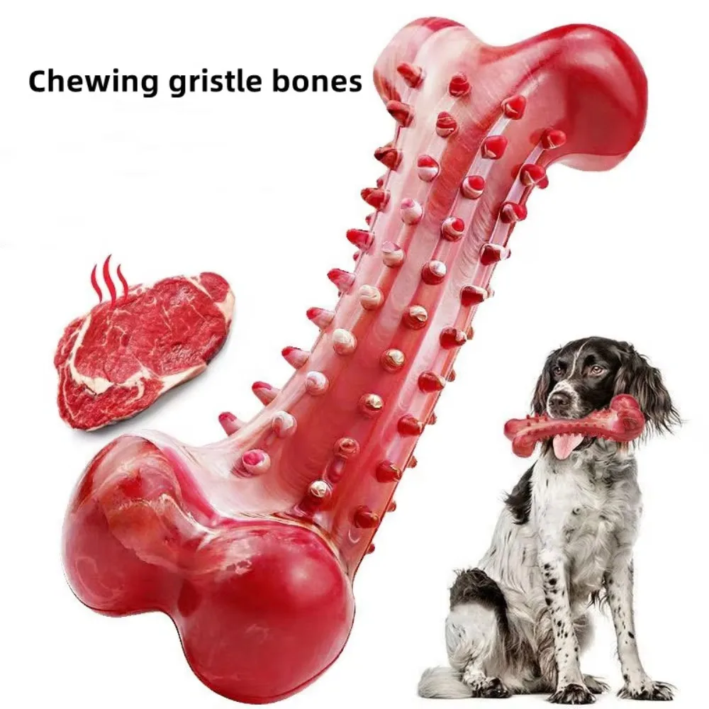 #62 Durable Pet Chew Toys List of Top Picks