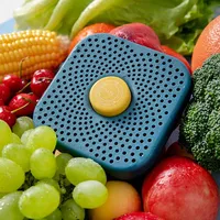 Refrigerator Deodorizer Fridge Air Purifier Deodorant Activated Carbon Box Bamboo Charcoal Odor Remover for Home Kitchen Cabinet