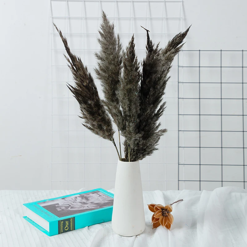 Natural Dried Pampas Grass Reed Plants White Black Home Deco Phragmites DIY Wedding Floral Arrangement Materials Dried Feather