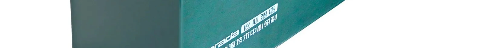 

Комплект из 4 аккумуляторов 6-DMF-20, 6-DZM-20, 6-DZF-20, 12В 20Ач, 48В перезаряжаемые для картинга, скутера, квадроцикла, UTV