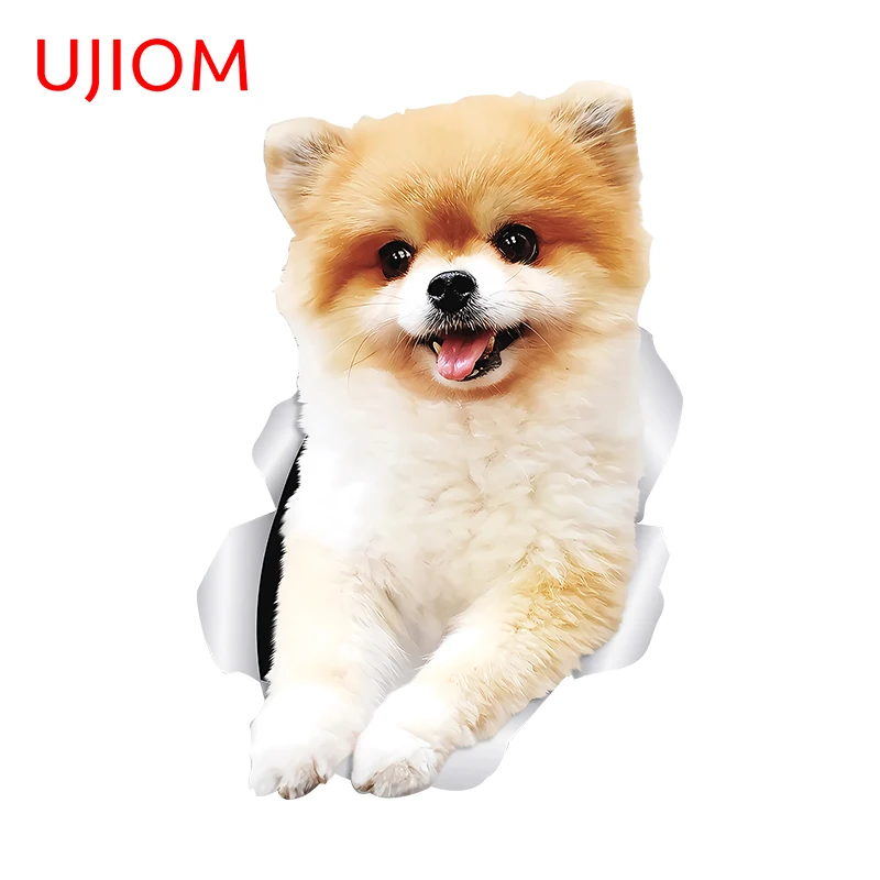 Ujiom Tearing Apart…