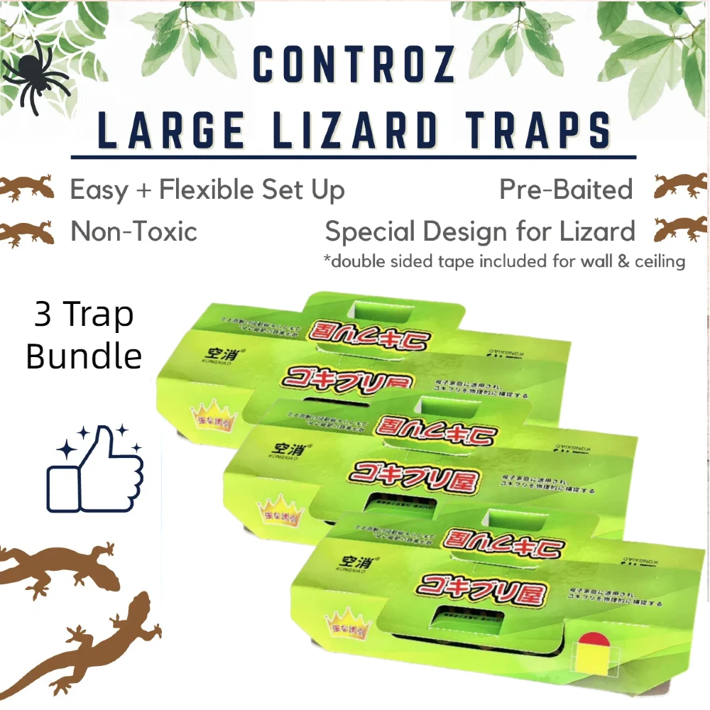 5/10/20PCS Lizard House Catch Lizard House Physical Catch Kitchen Crawler Catch Box Home Dormitory Company Restaurant Available