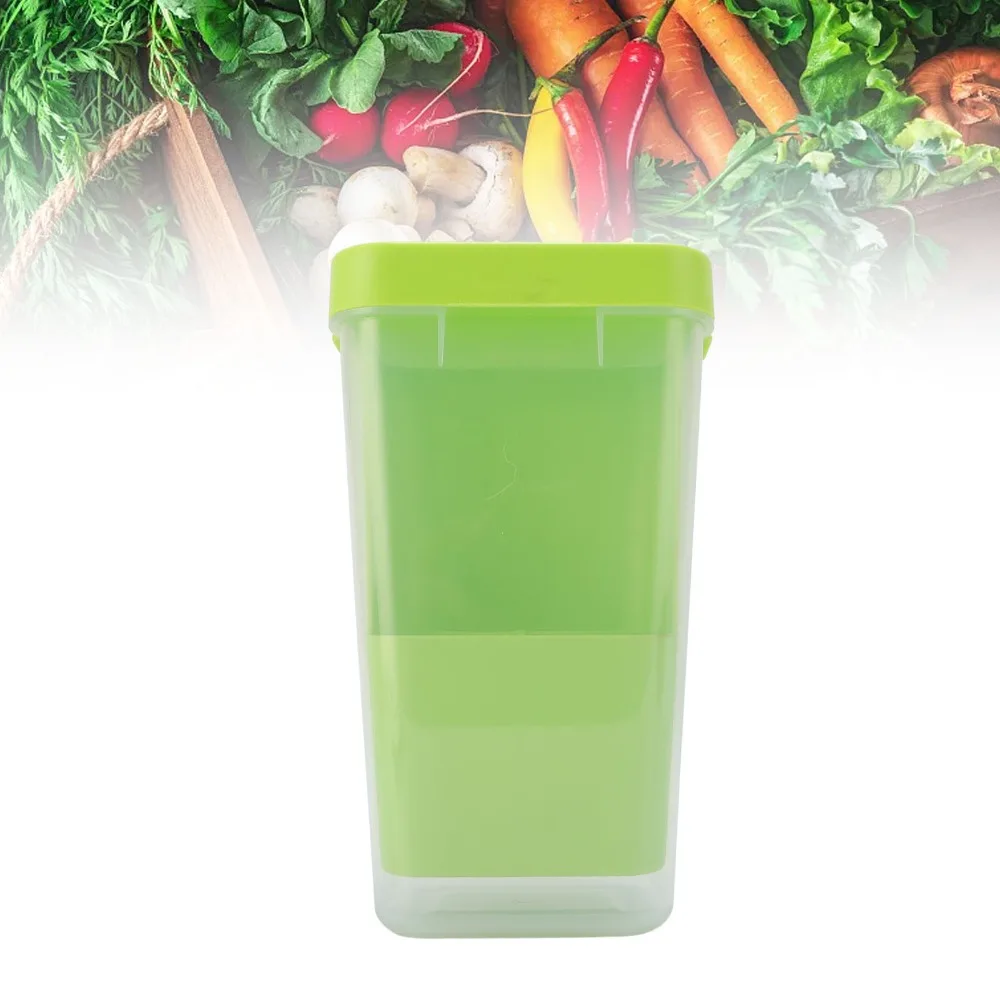 Reusable Plastic Cilantro Storage Container Transparent Asparagus Container Herb Saver For Refrigerator