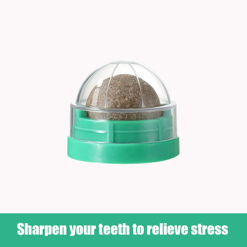 Natural Catnip Cat girevole Catnip Wall Ball Toys pulizia dei denti Catnip Toy