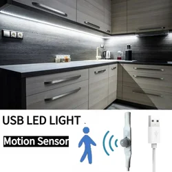 Striscia LED USB 5V con scansione manuale/sensore di movimento umano 1M 2M 3M 5M Nastro decorativo per nastro luminoso per TV Cucina