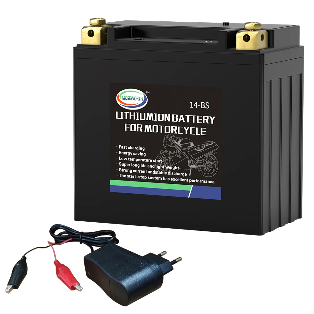 14-BS 12V 9Ah CCA 520A Lithium Iron Phosphate Motorcycle Battery LiFePO4 Rechargeable Battery Maintenance Free for Scooter ATV