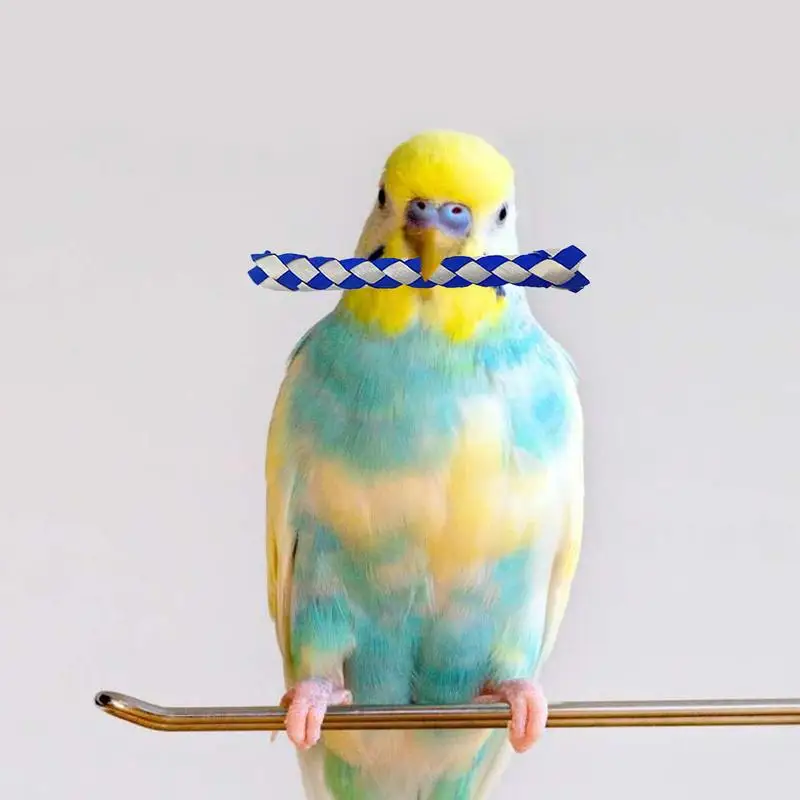 Chinese Finger Traps Bird Chew Toy Assorted Colors Chinese Finger Trap Bird Chew Foraging Chopper Toy For Kids Birthday Party - Detail 1