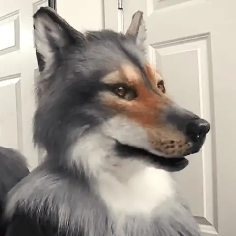 Masque tête de loup réaliste, couvre-tête d'horreur d'halloween avec cheveux, Costume de loup-garou, accessoires de jeu de rôle