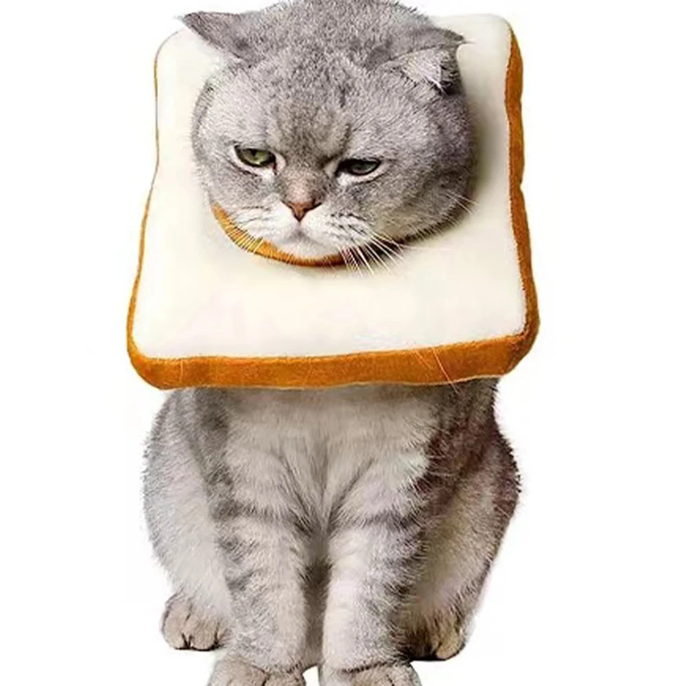 After pet surgery, cats can use imitation toast bread to prevent licking the cat's neck loop, which does not affect their eating