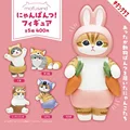 16 5PCS