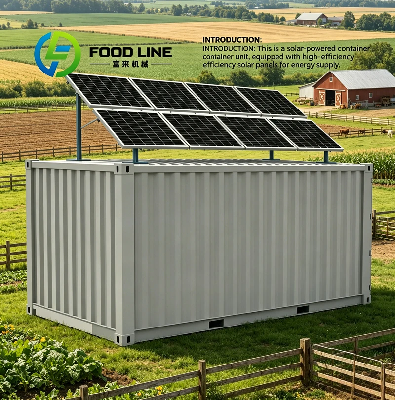 Frozen 40ft Industrial Solar Container Cold Room Balances Stable Cooling And Low Cost Through Efficient Solar Energy Conversion